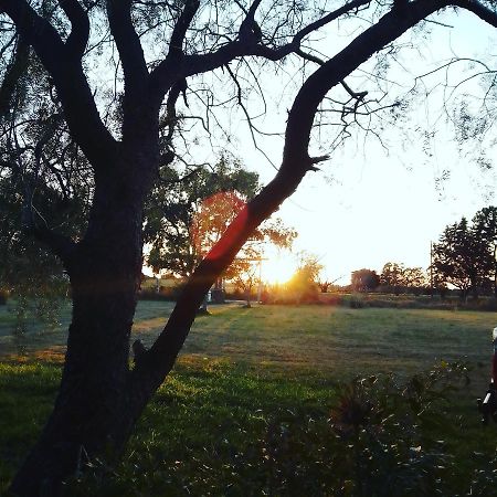 La Nena: Casa De Campo A 15 Minutos Del Centro. Villa Colonia del Sacramento Bagian luar foto