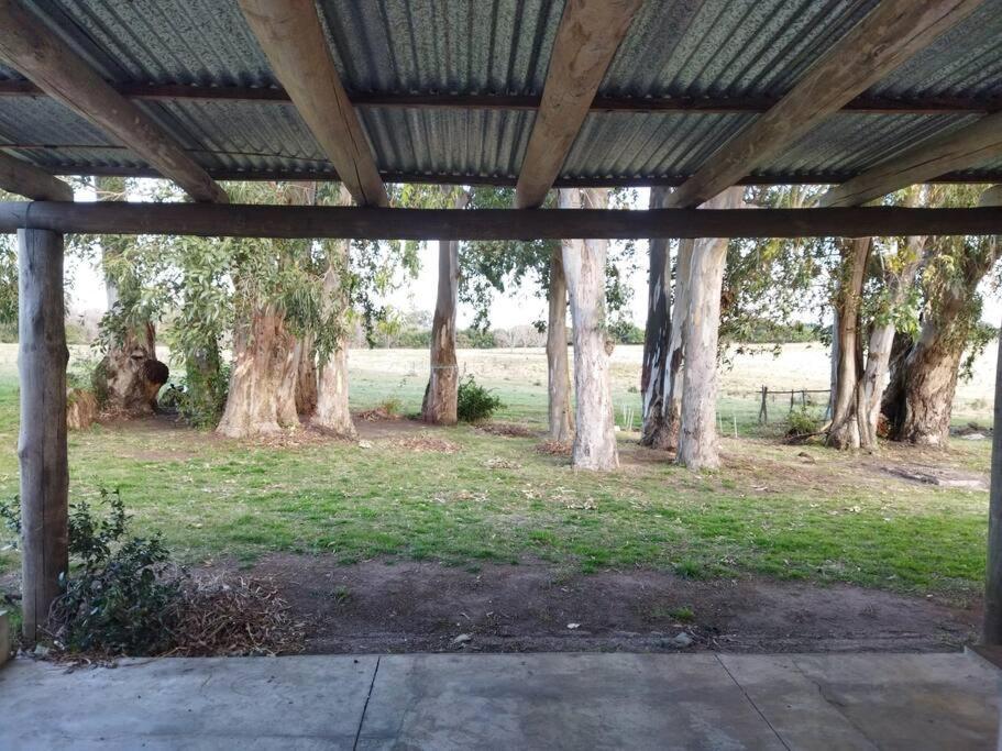 La Nena: Casa De Campo A 15 Minutos Del Centro. Villa Colonia del Sacramento Bagian luar foto
